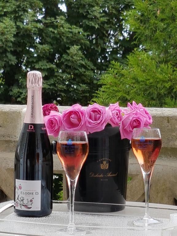 La Demeure D'Elodie Épernay Kültér fotó